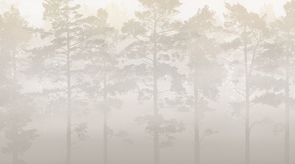 輸入壁紙 カスタム壁紙 PHOTOWALL / Misty Pine Forest - Beige (e327621)