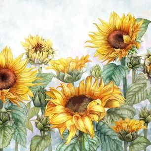 輸入壁紙 カスタム壁紙 PHOTOWALL / Sunflowers (e327104)