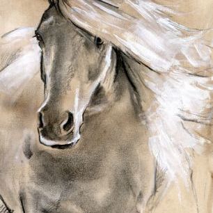 輸入壁紙 カスタム壁紙 PHOTOWALL / Sketched Horse (e324945)
