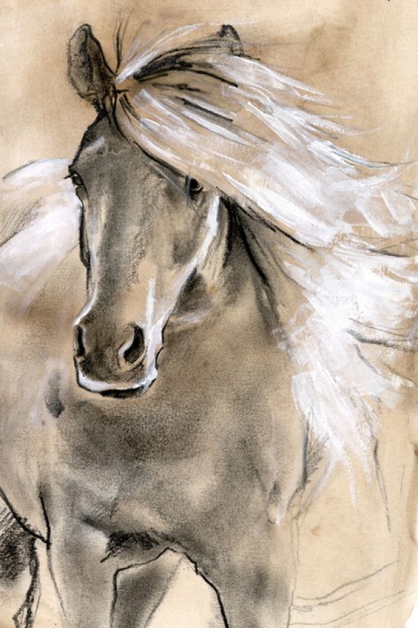 輸入壁紙 カスタム壁紙 PHOTOWALL / Sketched Horse (e324945)