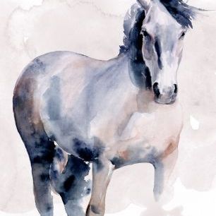 輸入壁紙 カスタム壁紙 PHOTOWALL / Horse in Watercolor (e324955)