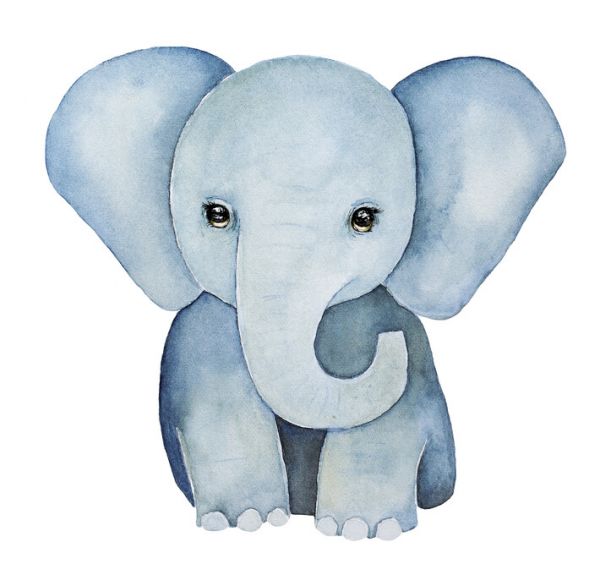 輸入壁紙 カスタム壁紙 PHOTOWALL / Baby Elephant Painting (e325022)