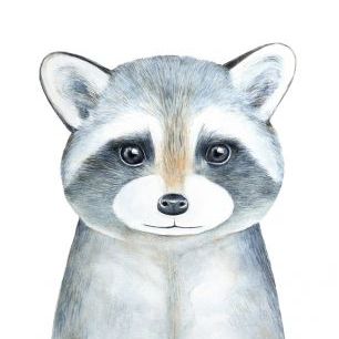 輸入壁紙 カスタム壁紙 PHOTOWALL / Raccoon Watercolor Portrait (e325034)