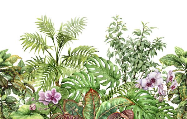 輸入壁紙 カスタム壁紙 PHOTOWALL / Tropical Plants (e325051)