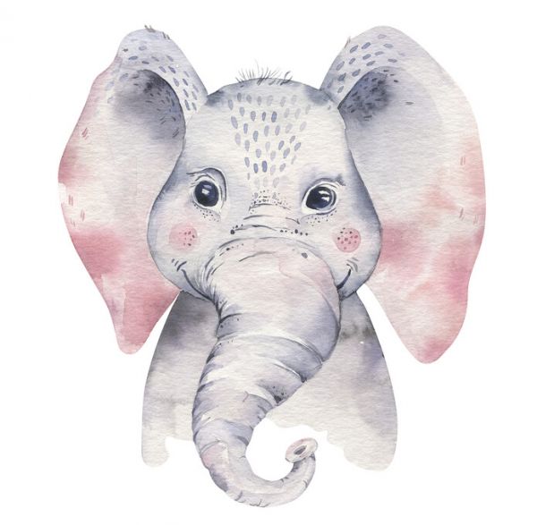 輸入壁紙 カスタム壁紙 PHOTOWALL / Baby Elephant (e325077)