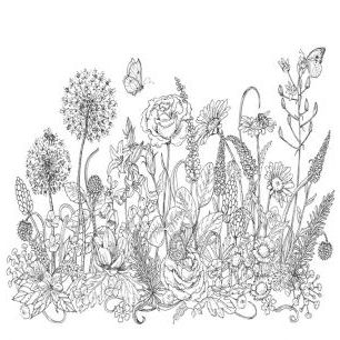 輸入壁紙 カスタム壁紙 PHOTOWALL / Wildflowers and Insects Sketch (e325122)
