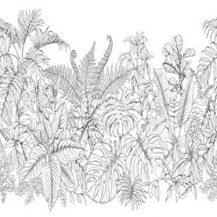 輸入壁紙 カスタム壁紙 PHOTOWALL / Tropical Plants (e325123)