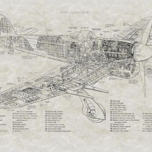 輸入壁紙 カスタム壁紙 PHOTOWALL / Sectional Hawker Typhoon Drawings (e328019)