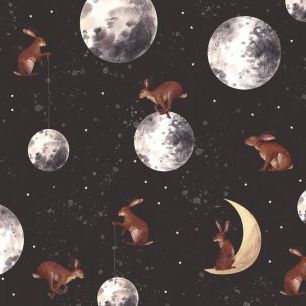 輸入壁紙 カスタム壁紙 PHOTOWALL / Rabbits on the Moon (e327700)