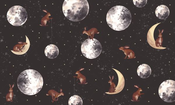 輸入壁紙 カスタム壁紙 PHOTOWALL / Rabbits on the Moon (e327700)