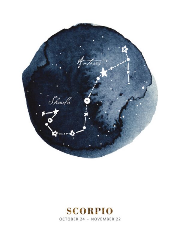 輸入壁紙 カスタム壁紙 PHOTOWALL / Zodiac Sign - Scorpio (e328146)