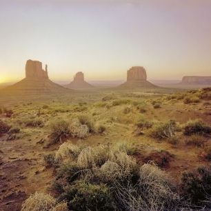 輸入壁紙 カスタム壁紙 PHOTOWALL / Dawn in the Desert (e325295)