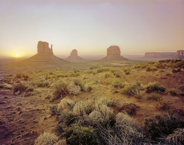 輸入壁紙 カスタム壁紙 PHOTOWALL / Dawn in the Desert (e325295)