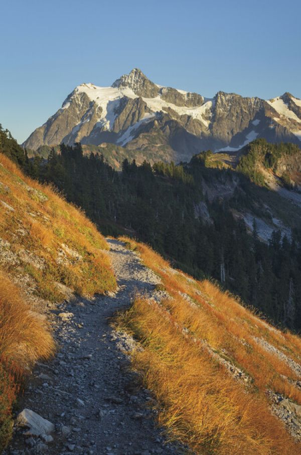 輸入壁紙 カスタム壁紙 PHOTOWALL / Mount Shuksan North Cascades (e325326)