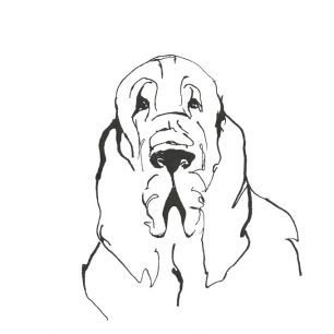 輸入壁紙 カスタム壁紙 PHOTOWALL / Line Dog Bloodhound (e325442)