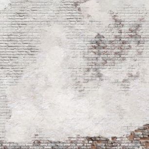 輸入壁紙 カスタム壁紙 PHOTOWALL / Torn Brick Wall (e328453)