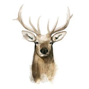 輸入壁紙 カスタム壁紙 PHOTOWALL / Watercolor Elk Portrait I (e327172)