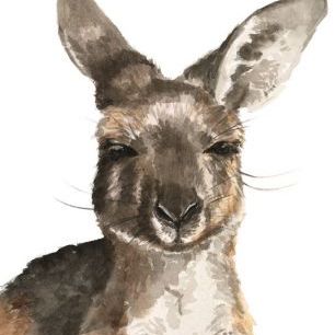 輸入壁紙 カスタム壁紙 PHOTOWALL / Kangaroo Portrait I (e327318)
