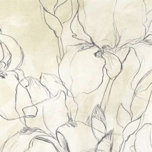 輸入壁紙 カスタム壁紙 PHOTOWALL / Iris Garden Sketch II (e327408)