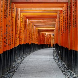 輸入壁紙 カスタム壁紙 PHOTOWALL / Japan Rising Sun - Torii Gates (e328554)