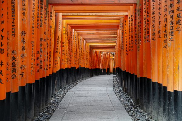 輸入壁紙 カスタム壁紙 PHOTOWALL / Japan Rising Sun - Torii Gates (e328554)