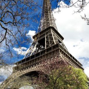 輸入壁紙 カスタム壁紙 PHOTOWALL / La Tour Eiffel (e328574)
