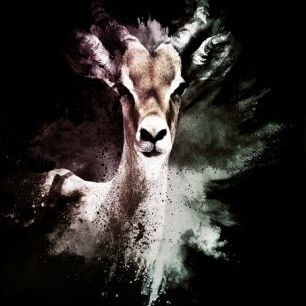 輸入壁紙 カスタム壁紙 PHOTOWALL / Wild Explosion - The Antelope (e328599)
