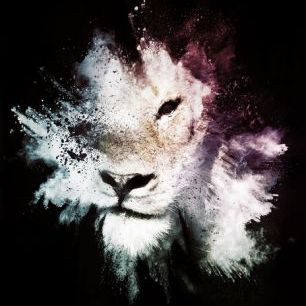輸入壁紙 カスタム壁紙 PHOTOWALL / Wild Explosion - The Lion (e328603)