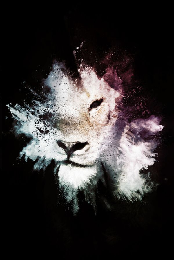 輸入壁紙 カスタム壁紙 PHOTOWALL / Wild Explosion - The Lion (e328603)