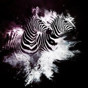 輸入壁紙 カスタム壁紙 PHOTOWALL / Wild Explosion - The Zebras (e328605)