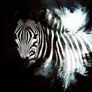 輸入壁紙 カスタム壁紙 PHOTOWALL / Wild Explosion - The Zebra II (e328606)