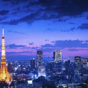 輸入壁紙 カスタム壁紙 PHOTOWALL / Tokyo Night View (e328180)