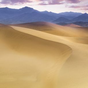 輸入壁紙 カスタム壁紙 PHOTOWALL / Mesquite Flat Sand Dunes (e328484)