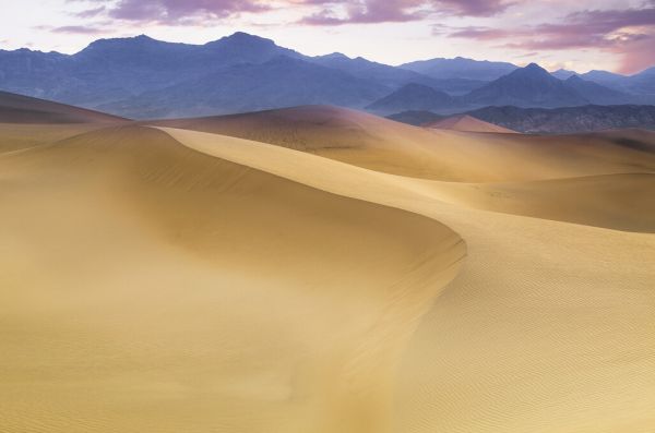 輸入壁紙 カスタム壁紙 PHOTOWALL / Mesquite Flat Sand Dunes (e328484)