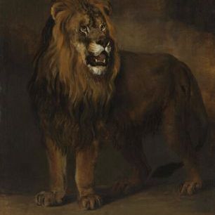 輸入壁紙 カスタム壁紙 PHOTOWALL / Lion from the Menagerie (e328309)