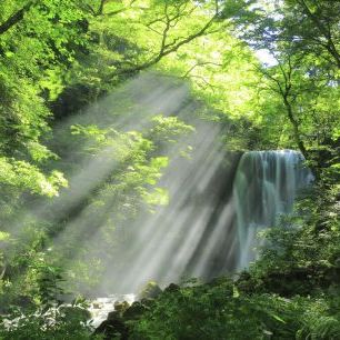 輸入壁紙 カスタム壁紙 PHOTOWALL / Forest Waterfall (e327896)