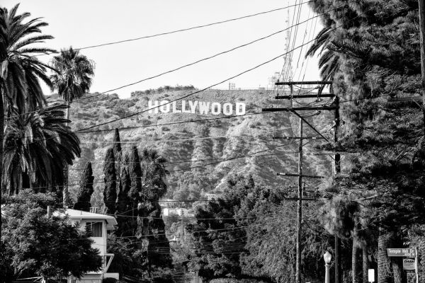 輸入壁紙 カスタム壁紙 PHOTOWALL / Black California - Hollywood Sign (e328627)