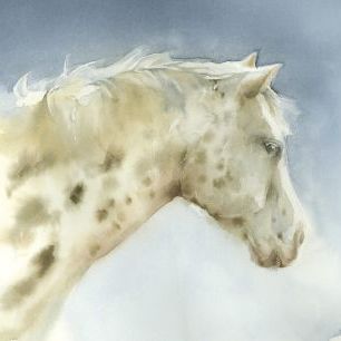 輸入壁紙 カスタム壁紙 PHOTOWALL / Dapple Gray Horse (e328679)