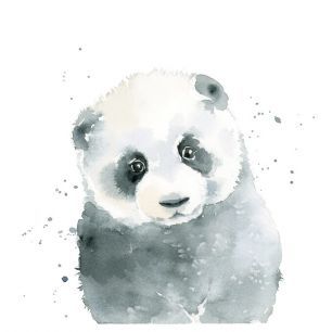 輸入壁紙 カスタム壁紙 PHOTOWALL / Panda Cub (e328682)