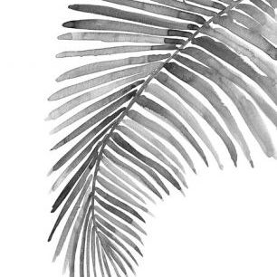 輸入壁紙 カスタム壁紙 PHOTOWALL / Watercolor Palm Leaves - Bw (e325790)