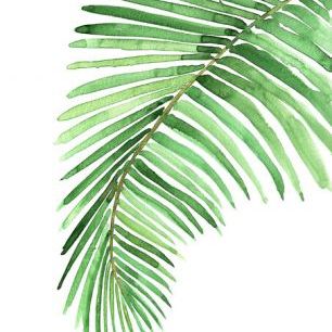 輸入壁紙 カスタム壁紙 PHOTOWALL / Watercolor Palm Leaves (e325791)