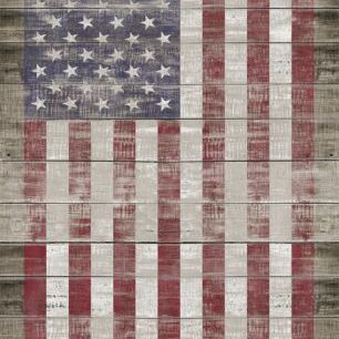 輸入壁紙 カスタム壁紙 PHOTOWALL / American Flag (e329456)