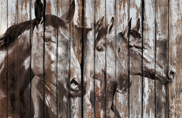 輸入壁紙 カスタム壁紙 PHOTOWALL / Three Horses (e329498)