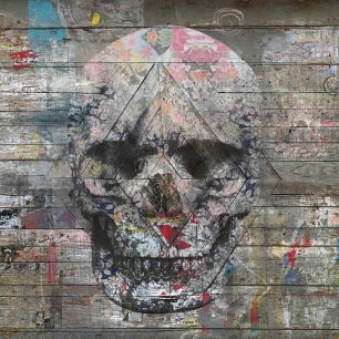 輸入壁紙 カスタム壁紙 PHOTOWALL / Urban Skull (e329502)