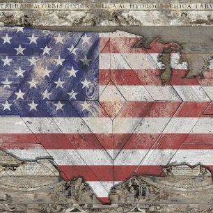 輸入壁紙 カスタム壁紙 PHOTOWALL / USA Map - Union (e329562)