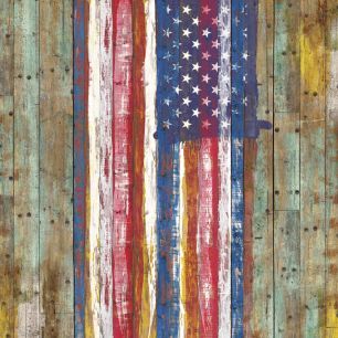 輸入壁紙 カスタム壁紙 PHOTOWALL / Nostalgic American Flag (e329596)