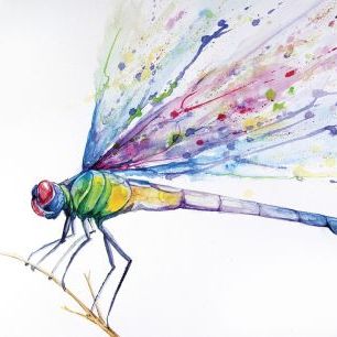 輸入壁紙 カスタム壁紙 PHOTOWALL / Dragonfly (e329615)
