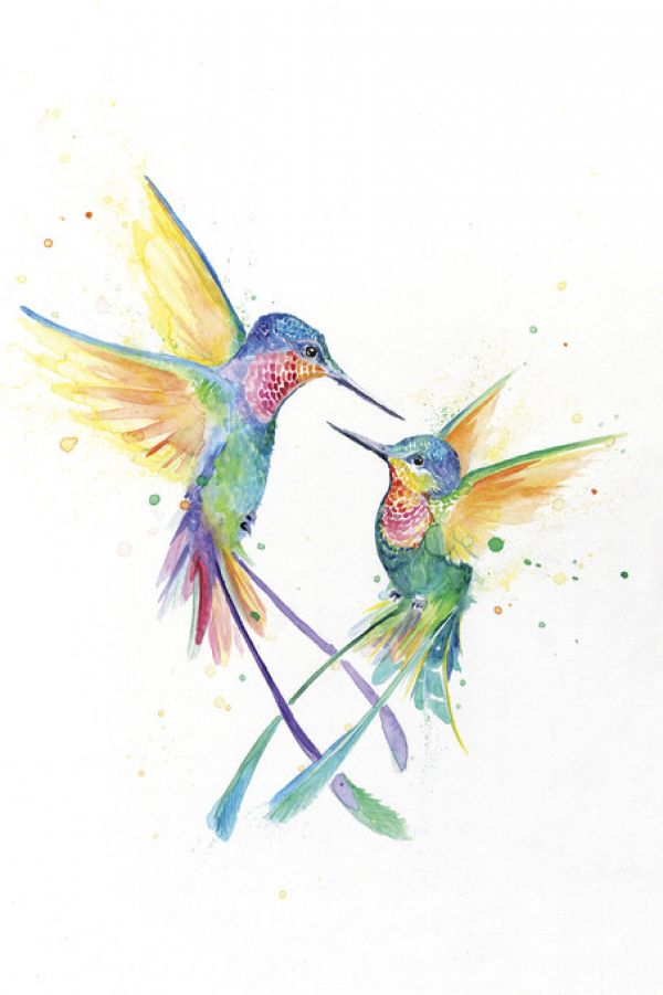 輸入壁紙 カスタム壁紙 PHOTOWALL / Happy Hummingbirds (e329656)