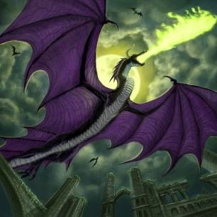 輸入壁紙 カスタム壁紙 PHOTOWALL / Black Dragon Flying at Night (e330145)