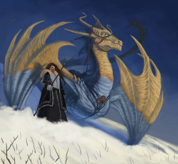 輸入壁紙 カスタム壁紙 PHOTOWALL / White Dragon and Rider in the Snow (e330176)